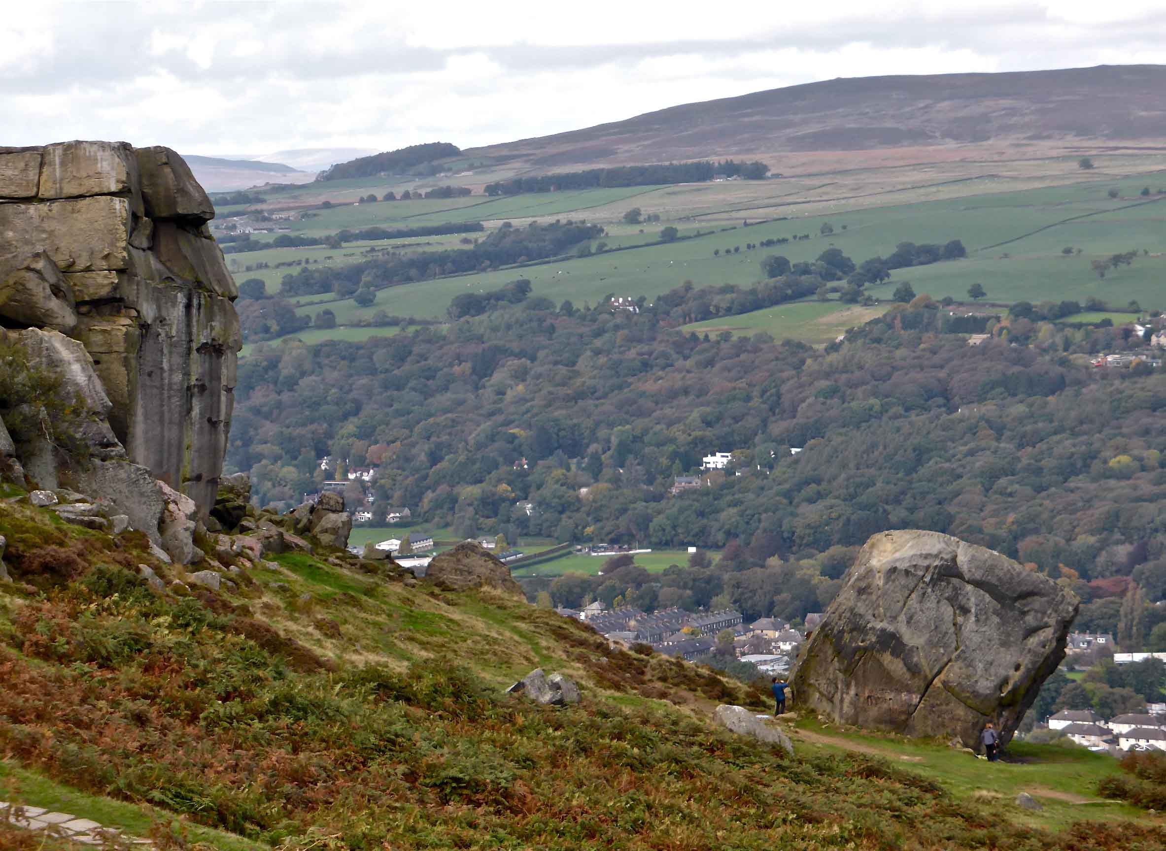Cow and Calf Rocks